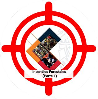 Test IVASPE M1 - Incendios Forestales (Tema 3, Parte 1)